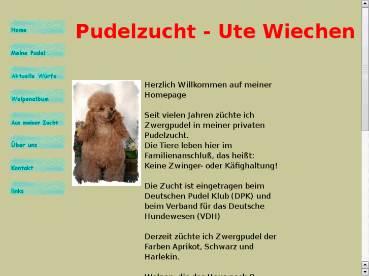 www.pudelzucht-ute-wiechen.de