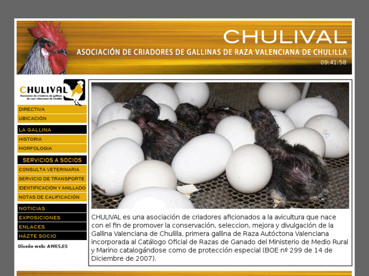 www.chulival.com