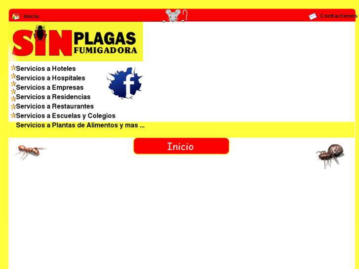 www.fumigadorasinplagas.com