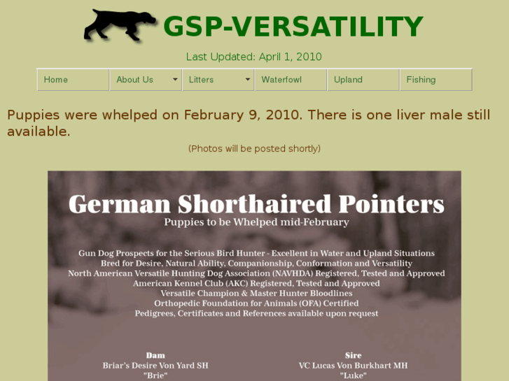 www.gsp-versatility.com