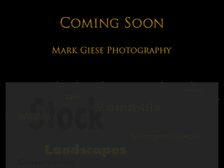 www.markgiesephotography.com