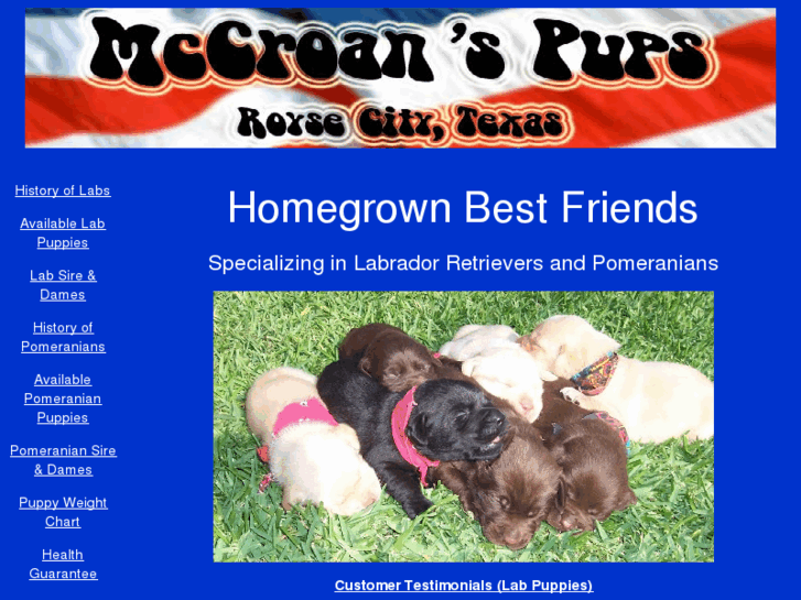 www.mccroanspups.com