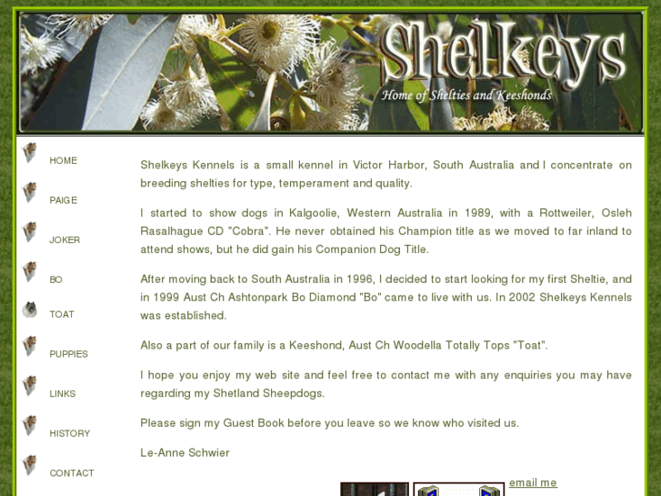 www.shelkeys.com