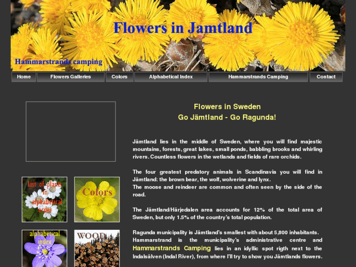 www.flowersinsweden.com