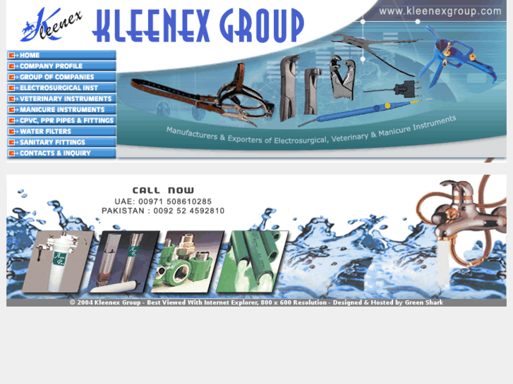 www.kleenexgroup.com