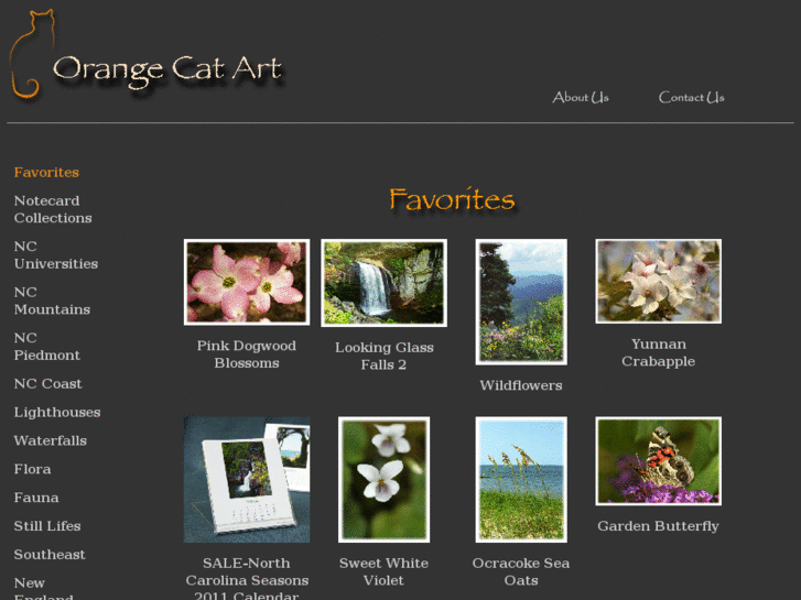 www.orangecatart.com