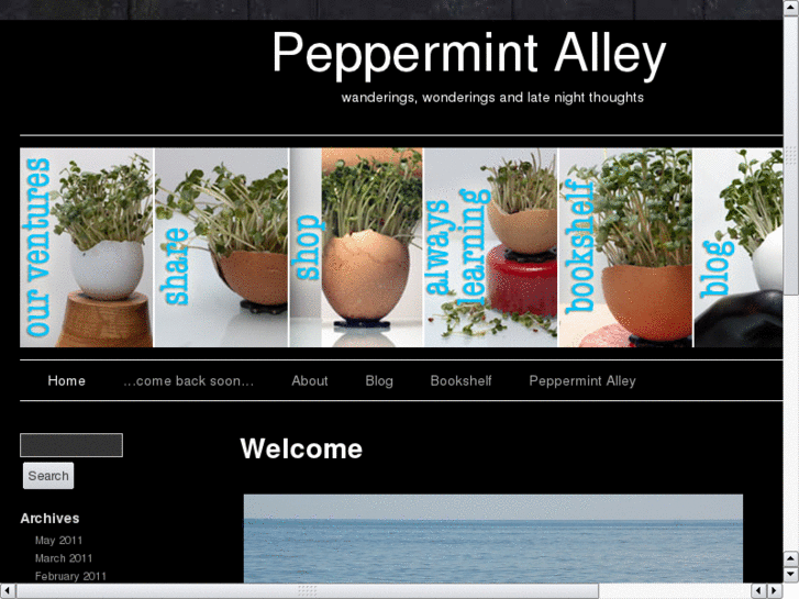 www.peppermintalley.com