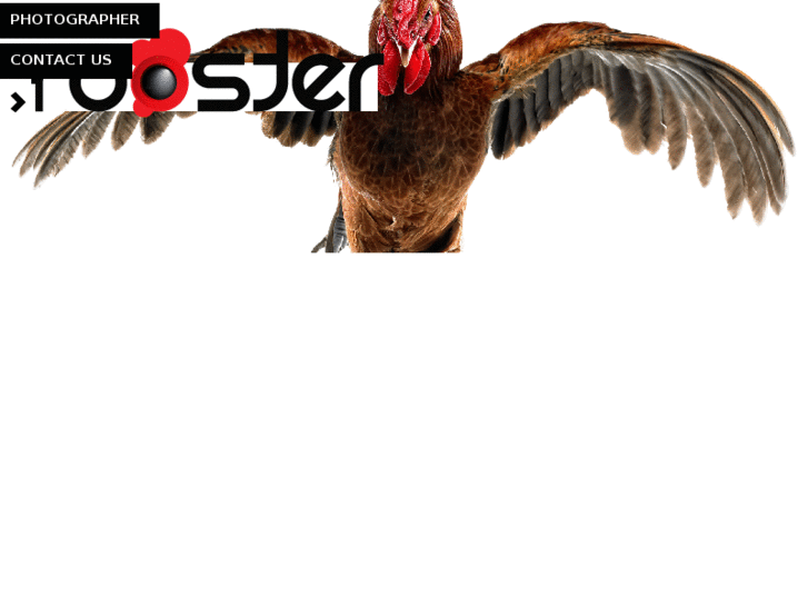 www.rooster-studio.com