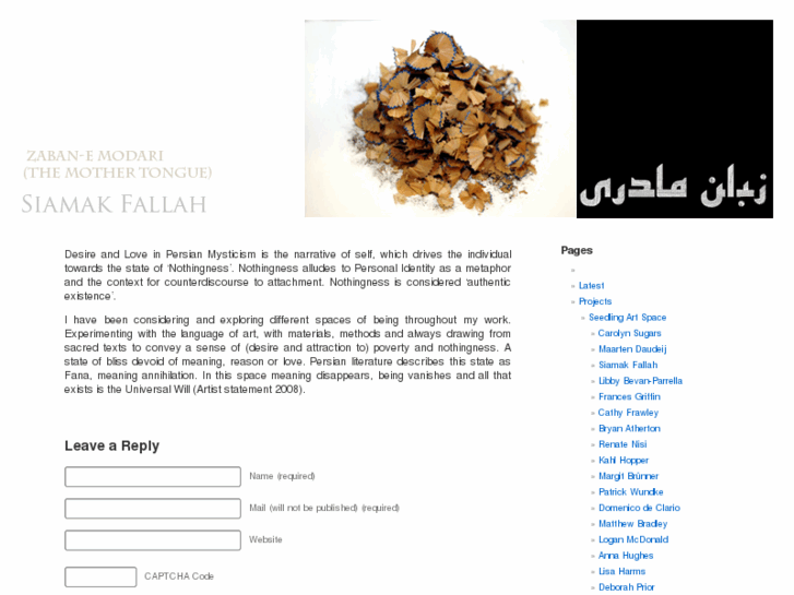 www.siamakfallah.com