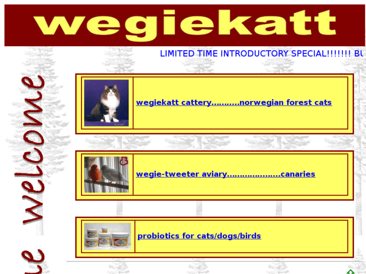 www.wegiekatt.com