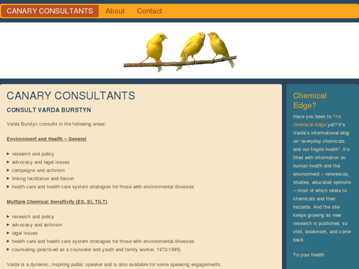 www.canaryconsultants.com