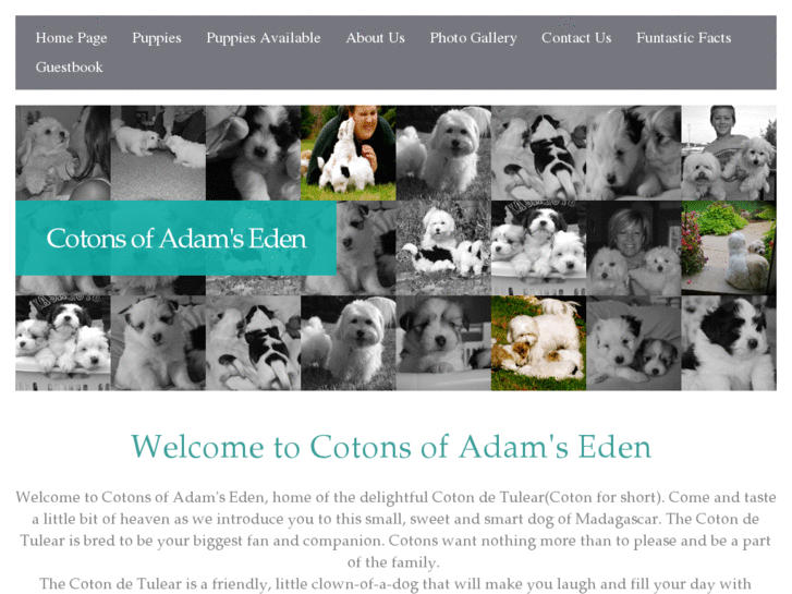 www.cotonsofadamseden.com