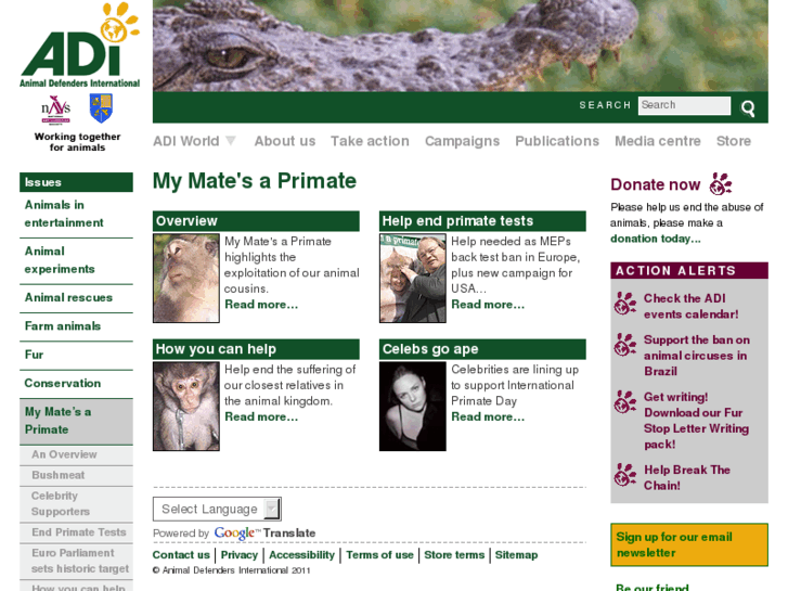 www.mymatesaprimate.org