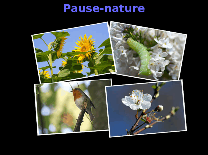 www.pause-nature.com