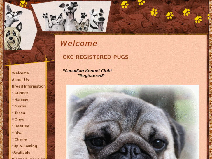 www.cailletpugs.com