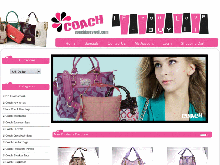 www.coachbagshot.com