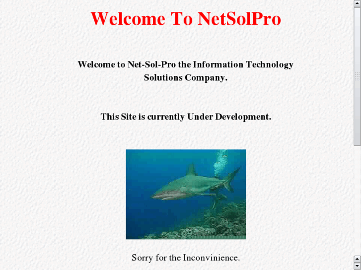 www.netsolpro.net