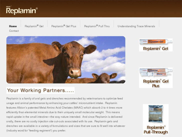 www.replamin.com