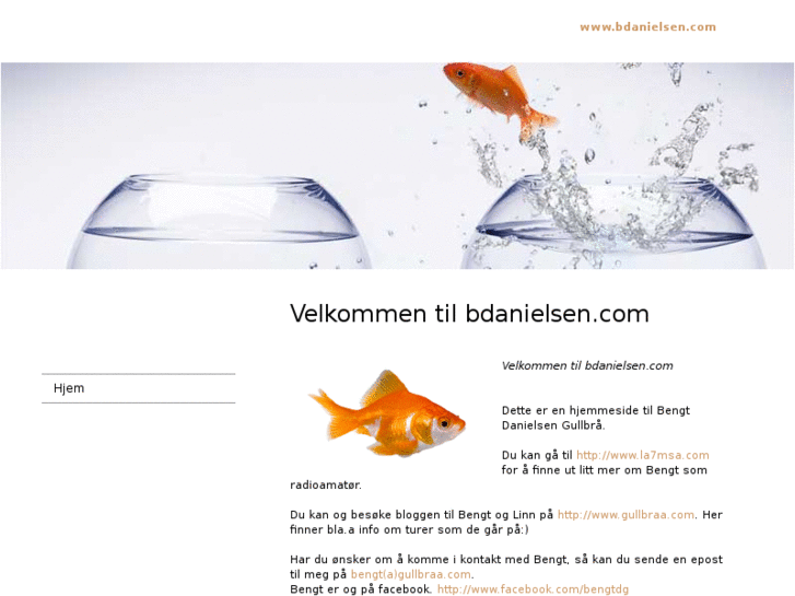 www.bdanielsen.com