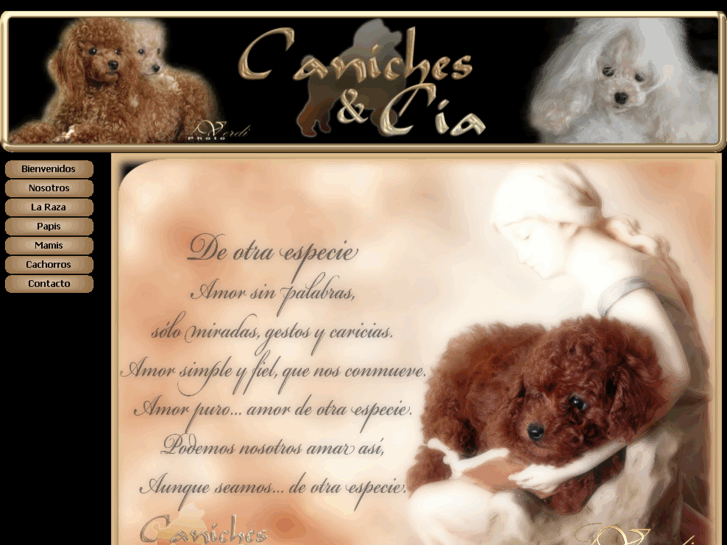 www.canichesycia.com