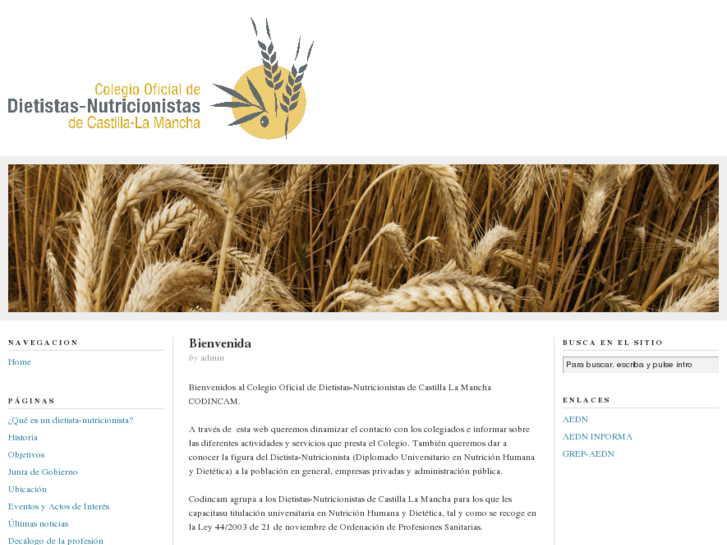 www.codincam.es