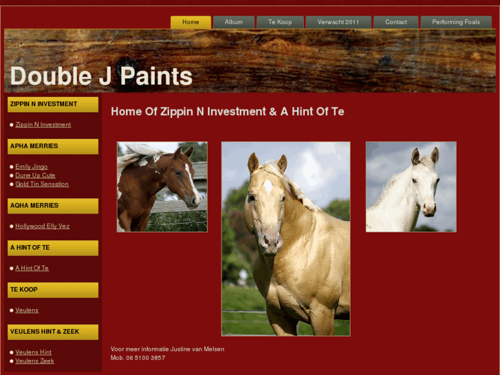 www.double-j-paints.com