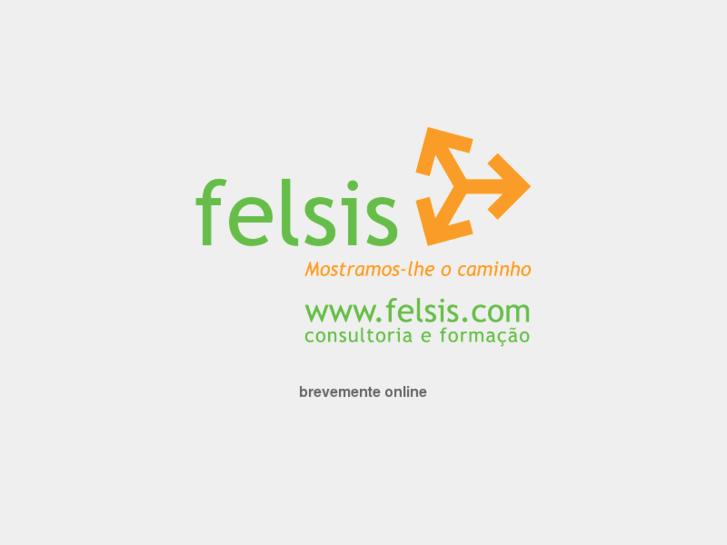 www.felsis.com