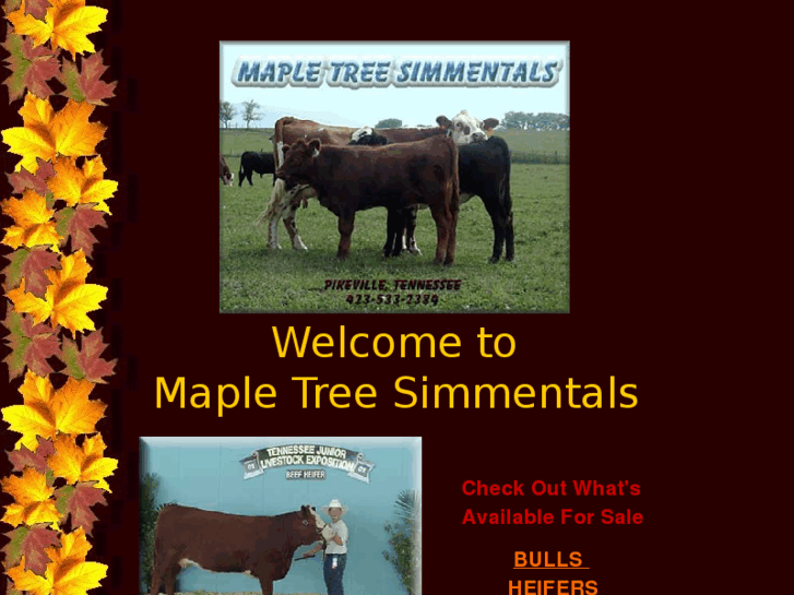 www.mapletreesimmentals.com