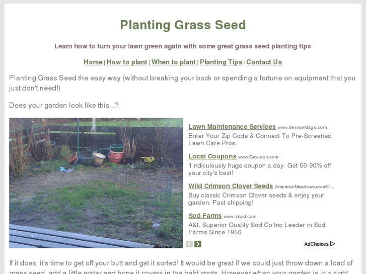 www.planting-grass-seed.com