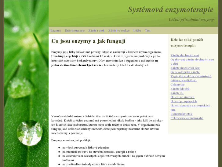 www.enzymoterapie.cz