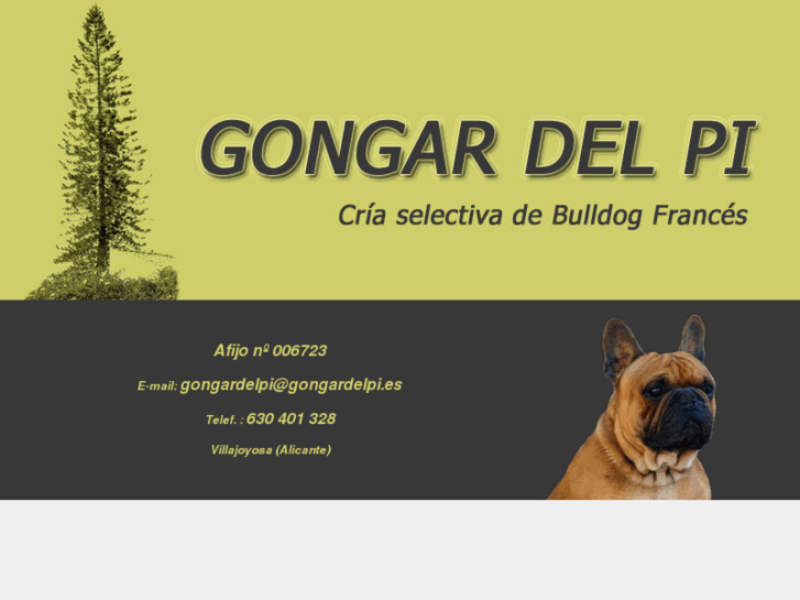 www.gongardelpi.es