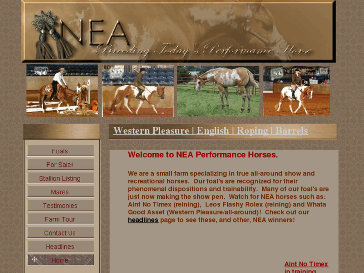 www.neaperformancehorses.com