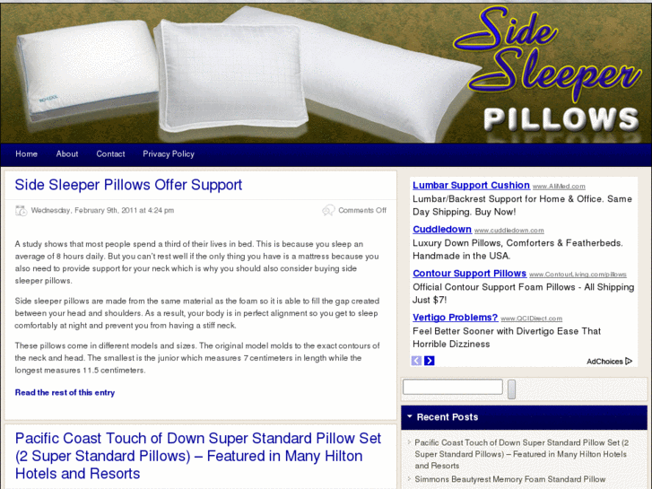 www.sidesleeperpillows.org