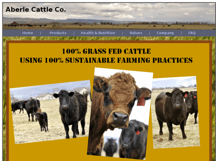 www.aberlecattle.com