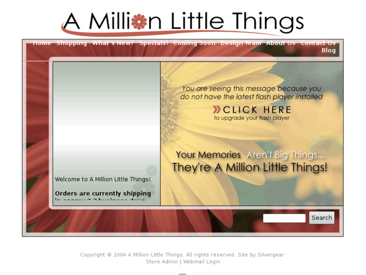 www.amillionlittlethings.com