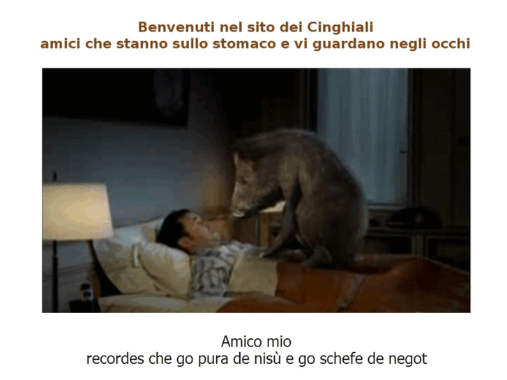 www.cinghial.com