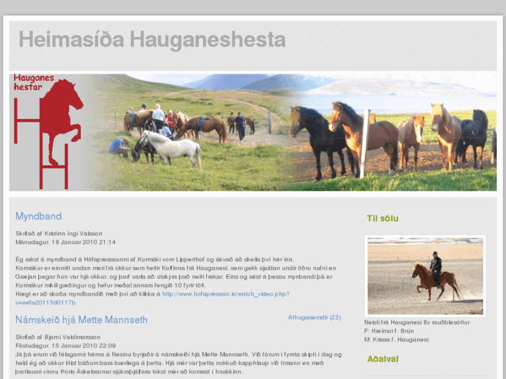 www.hauganeshestar.com