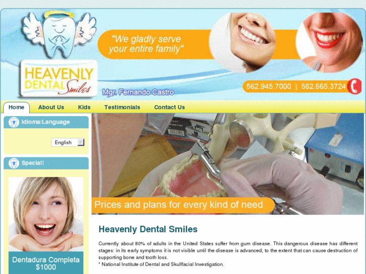 www.heavenlydentalsmiles.com