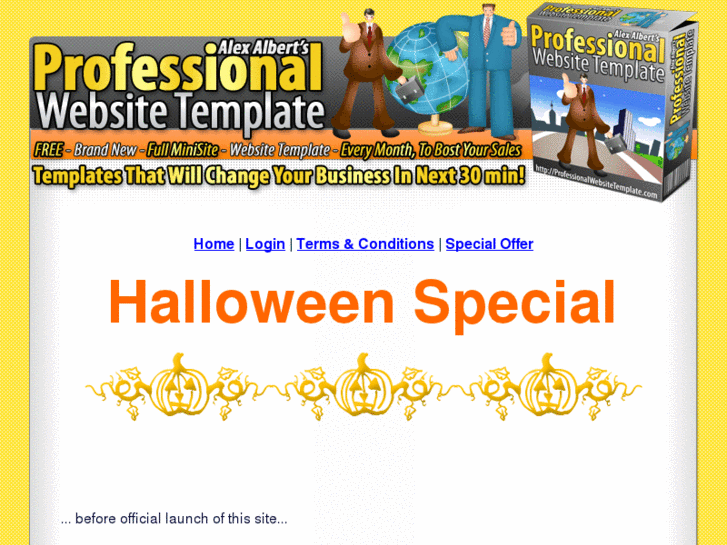 www.professionalwebsitetemplate.com