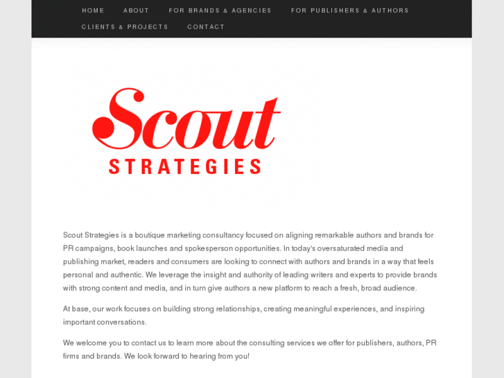 www.scoutstrategies.com