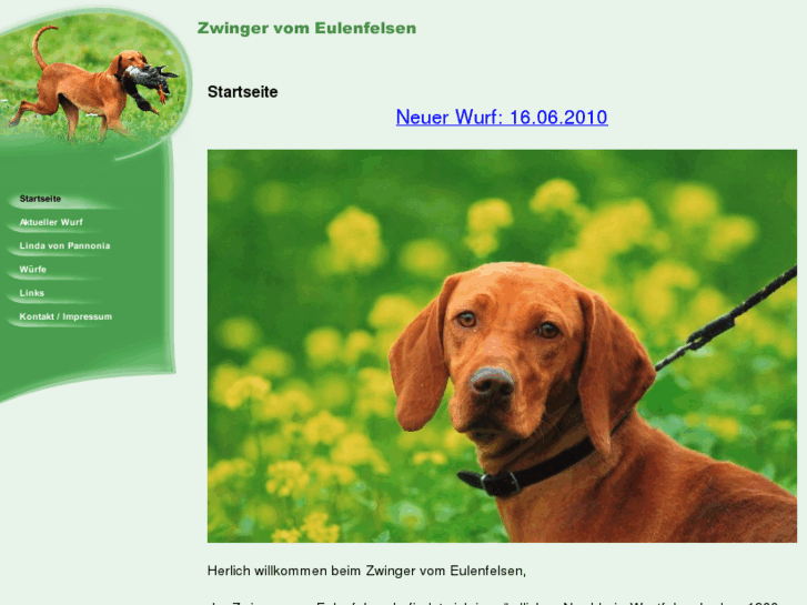 www.vizsla-zucht.com