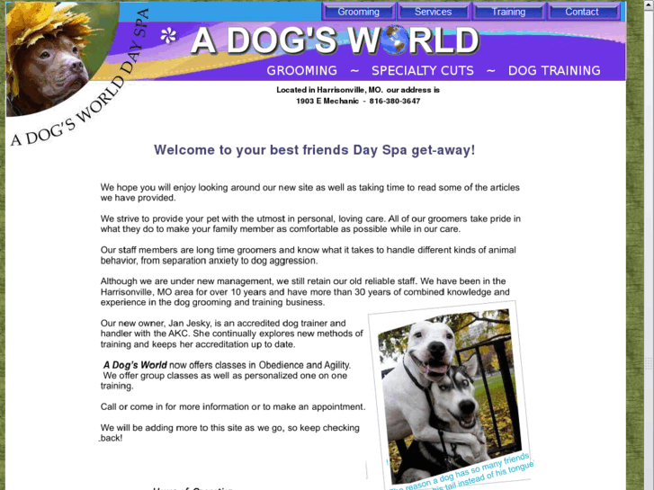 www.a-dogs-world.com