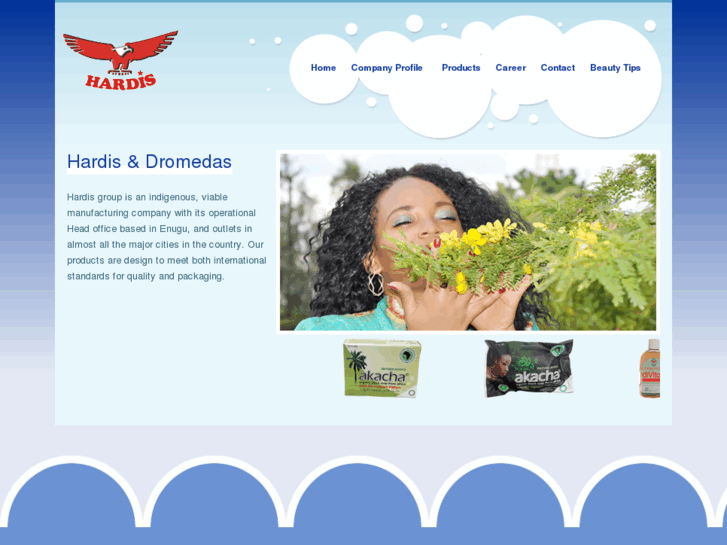 www.hardisgroup.net