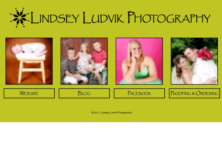 www.lindseyludvikphotography.com