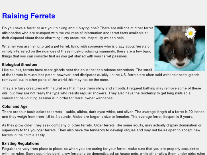 www.raisingferrets.com