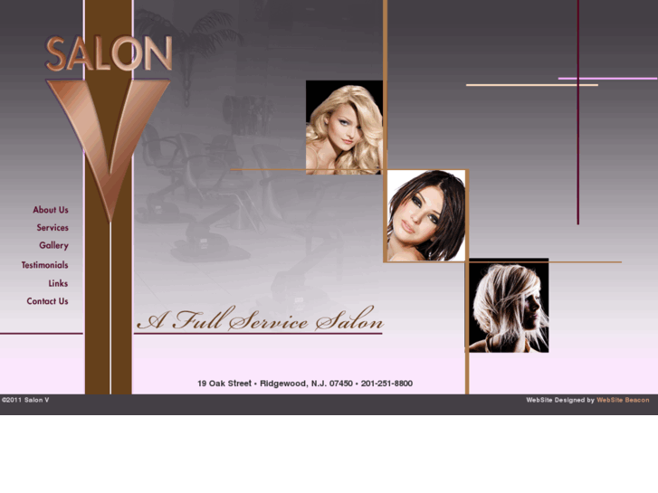 www.salon-v.com