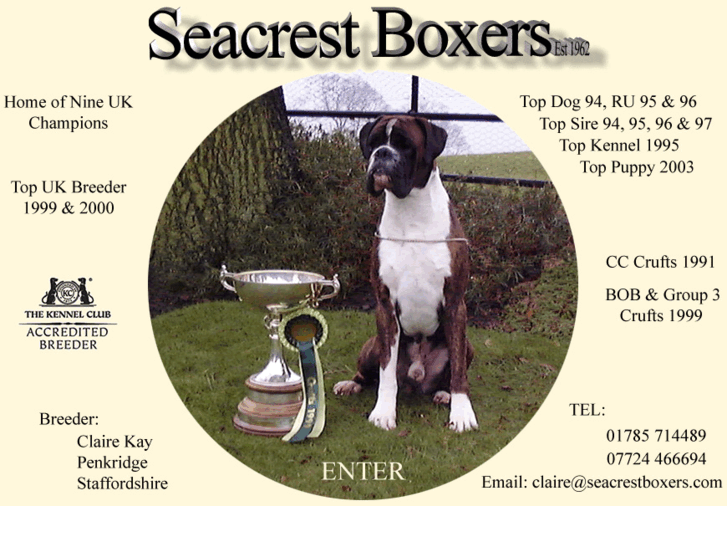 www.seacrestboxers.com