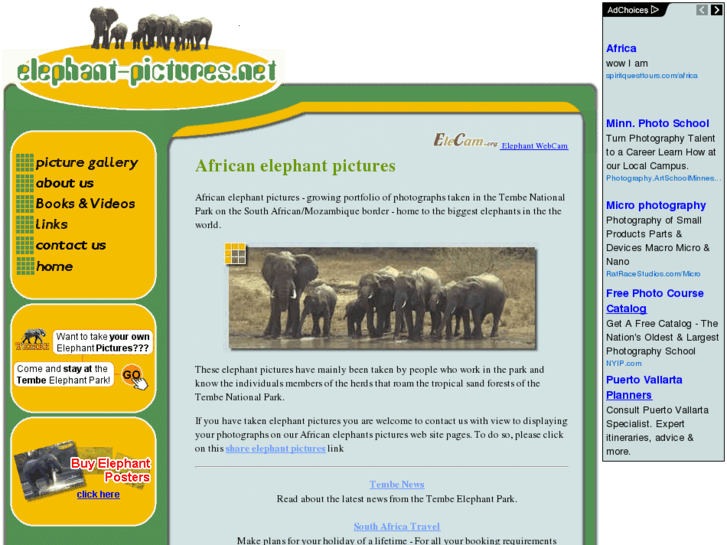 www.elephant-pictures.net