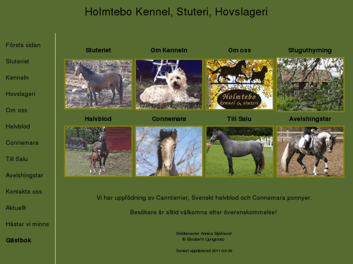 www.holmtebo.com