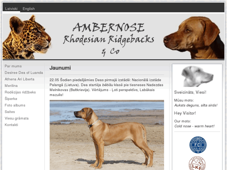 www.ambernose.com